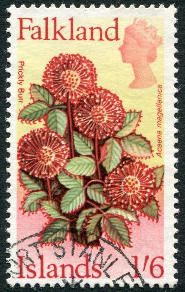 FALKLAND ISLANDS-1968 Flowers 1/6 "Prickly Pear" Sg 241 FINE USED V32797