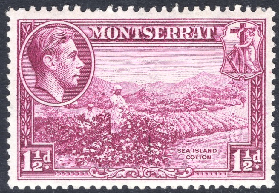 MONTSERRAT-1938-48 1½d Purple Perf 13 Sg 103 MOUNTED MINT